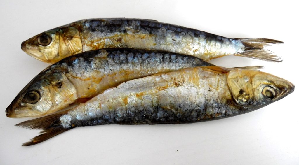 Sardinas
