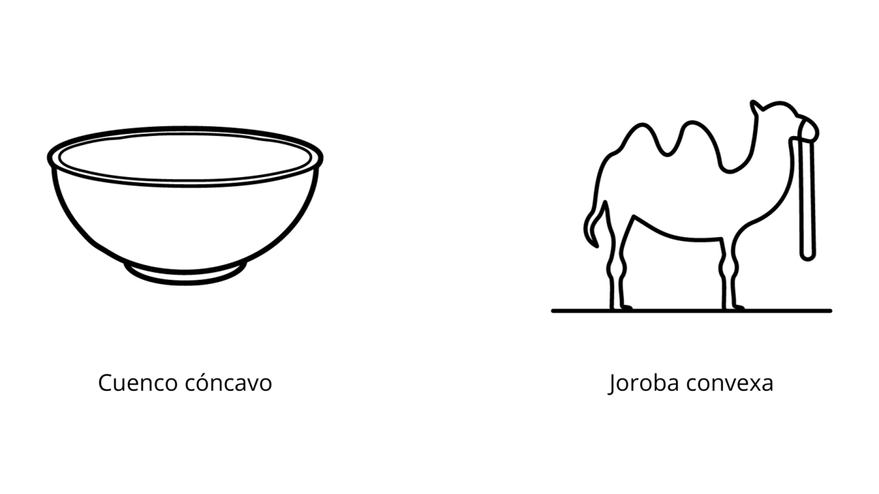 concavo convexo