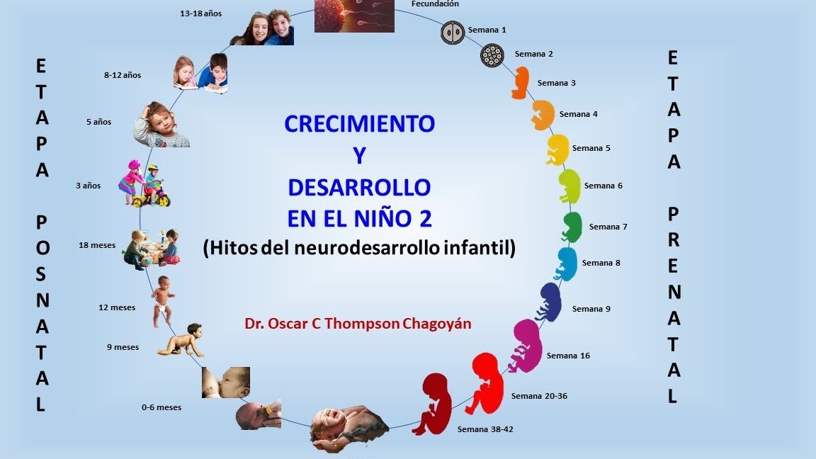 crecimiento desarrollo