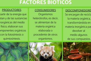 factores bioticos
