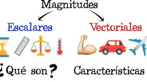 magnitudes escalares