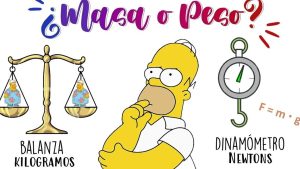 masa peso