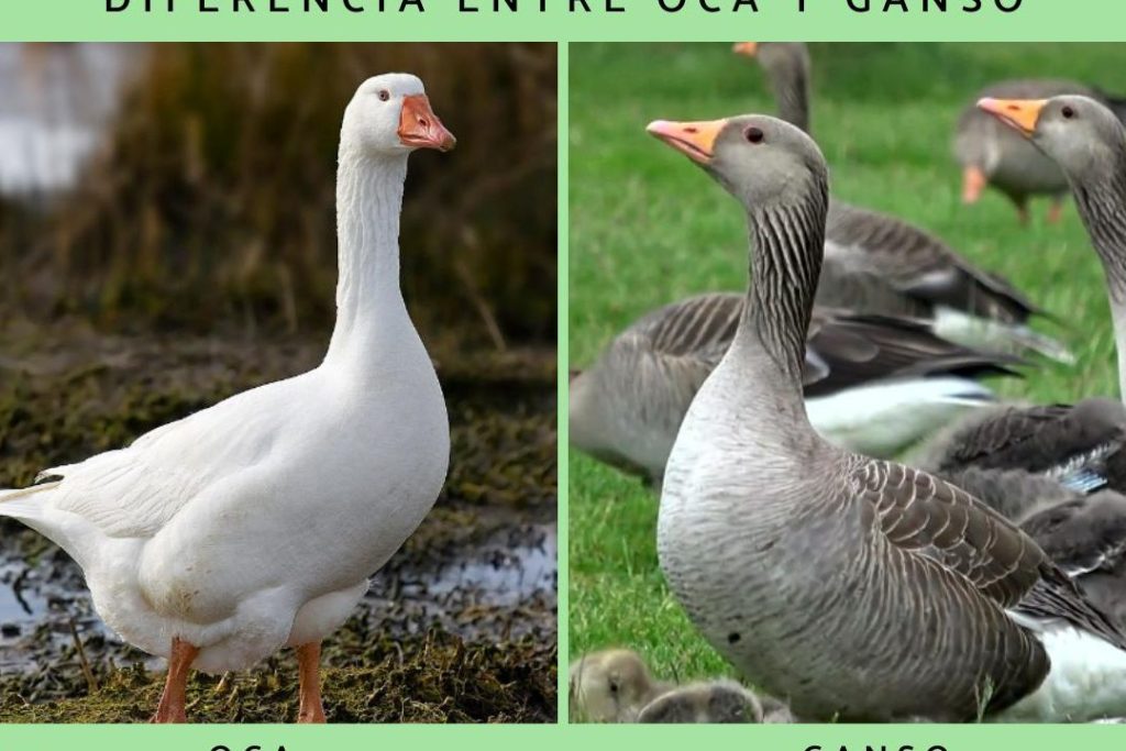 %título del post%